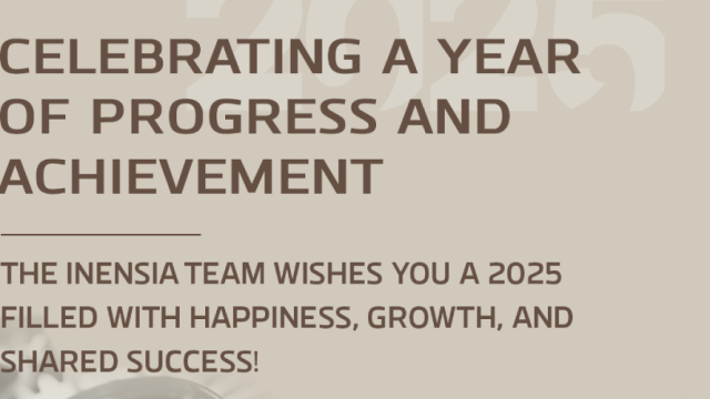 Inensia Celebrates a Year of Achievements!